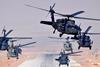 Black Hawks-c-US Army